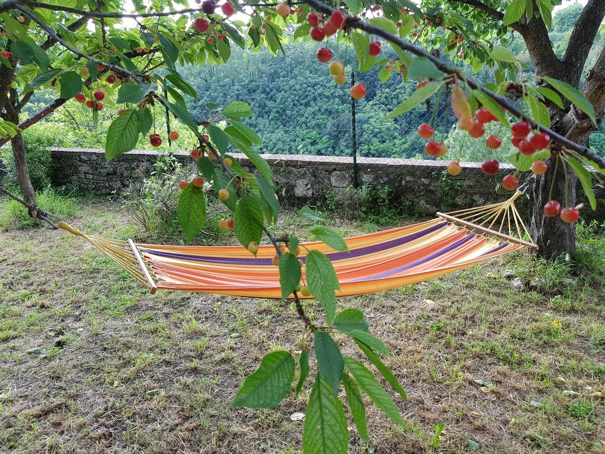 Guest House Il Giardino Colle Val D'Elsa Exterior foto